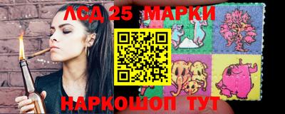 Альфа ПВП Гатчина
