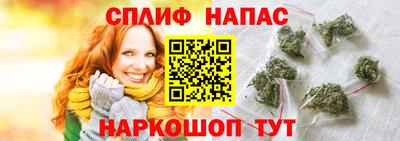 Альфа ПВП Гатчина