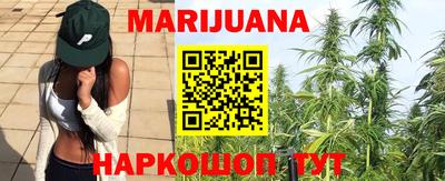 Альфа ПВП Гатчина