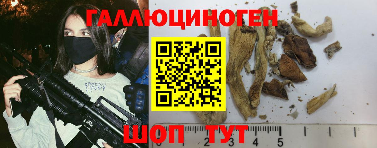Качканар  Псилоцибиновые грибы Psilocybine cubensis  Вход с VPN 